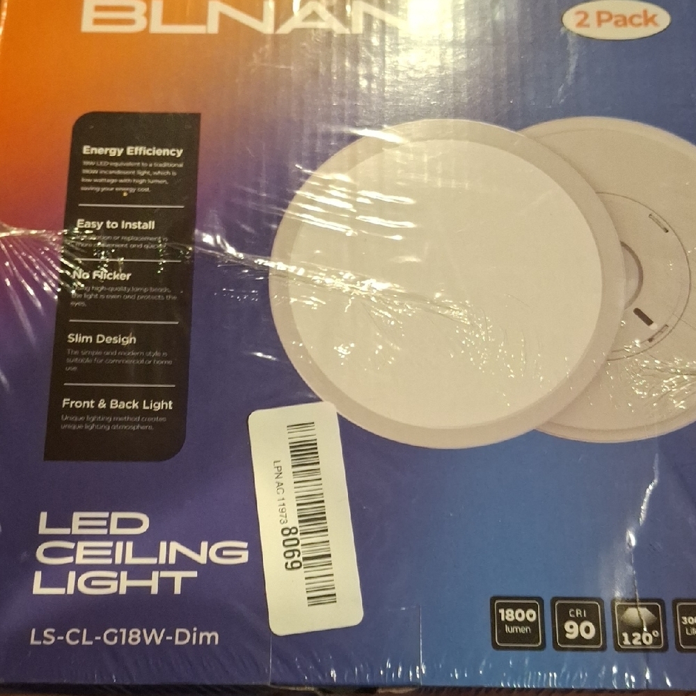 LED Ceiling Light 2-Pack with Front and Back Light